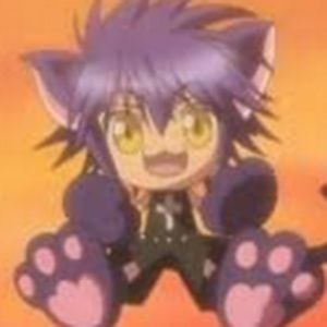 Meet your Posher, Willow